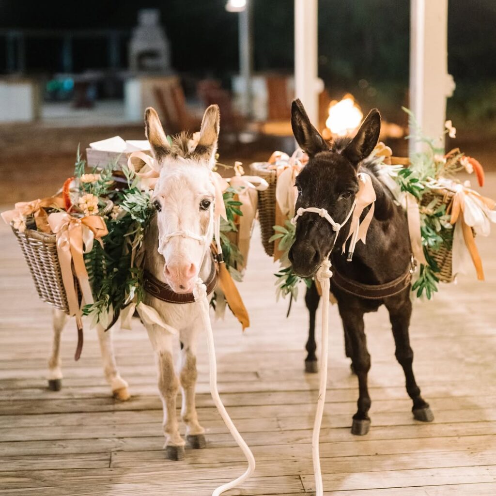 Black Burro Events’ Beer Donkeys,